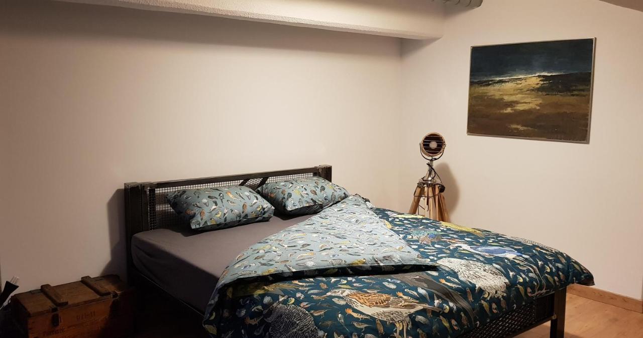 Loft Hiellego Daire Zyrardow Dış mekan fotoğraf