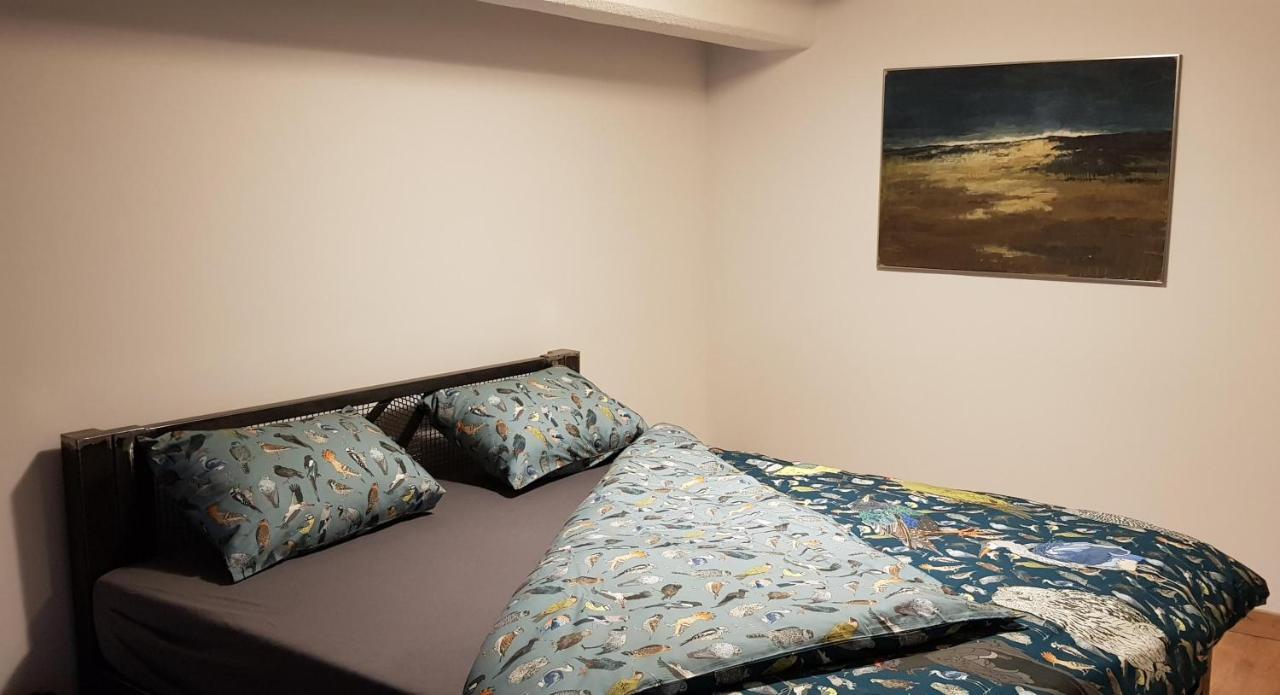 Loft Hiellego Daire Zyrardow Dış mekan fotoğraf